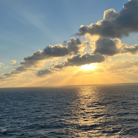 Meet your Posher, Roxy - Picture 1 of 1